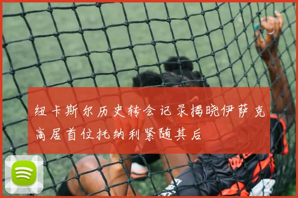 纽卡斯尔历史转会记录揭晓伊萨克高居首位托纳利紧随其后